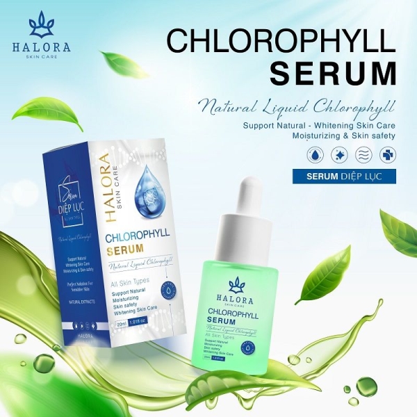 Serum diệp lục